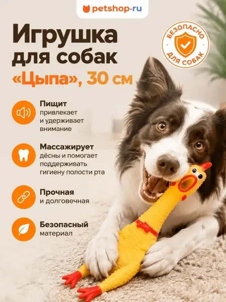PetShop Игрушка для собак курица с пищалкой "Цыпа", 30 см