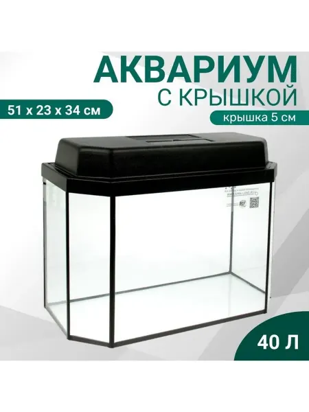 Аквариум «Панорамный» с крышкой, 40 л, 51×23×34 39 см, чёрны