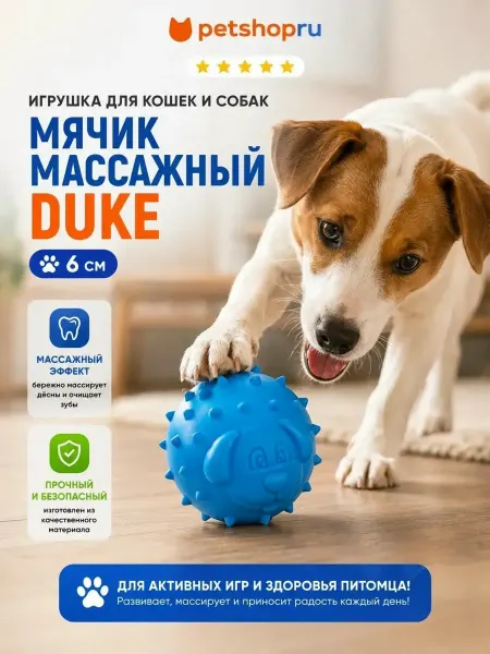 PetShop Игрушка для кошек и собак мячик массажный "Дюк", 6 см