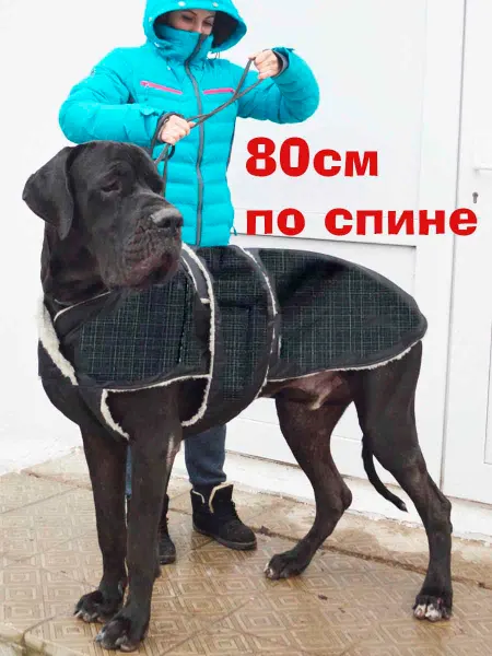 SCHATZ Попона 80 см теплая одежда зимняя для собак