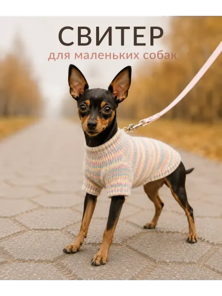 ADVANCED STORE Свитер для собак и кошек