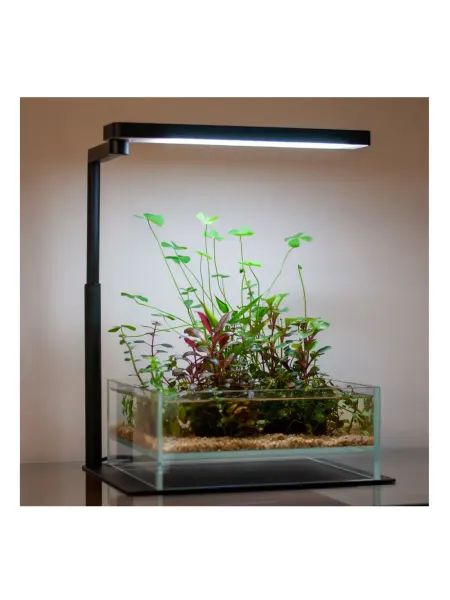 Chihiros Aquatic Studio Светильник для аквариума Chihiros CII