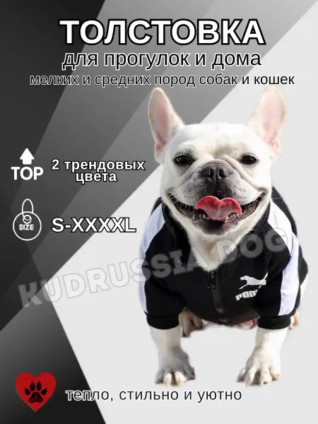 KUDRussia DOG Одежда для собак мелких средних пород и кошек толстовка