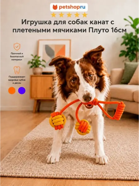 PetShop Игрушка для собак канат с плетеными мячиками "Мяуморфоз"