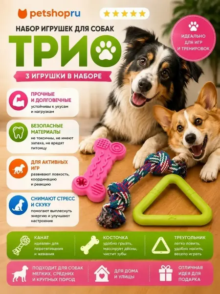 PetShop Игрушки для собак канат, косточка и треугольник "Трио", 3 шт