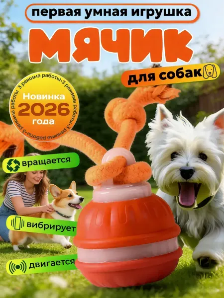 PetTails Игрушки для собак и кошек Интерактивный мячик