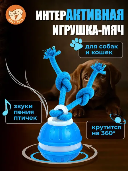 ValescoHome Умный игровой мяч для кошек и собак