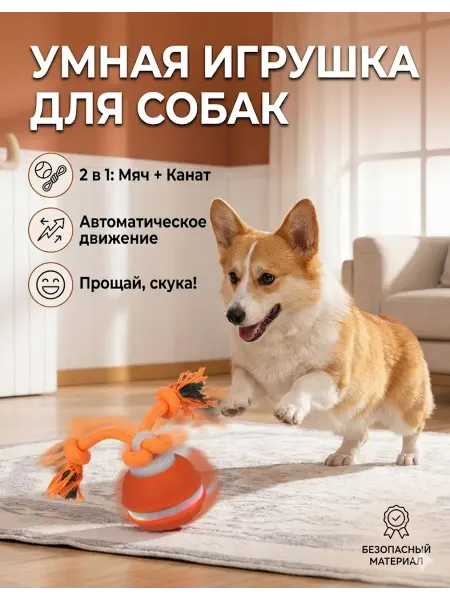 Тихая автоматическая игрушка для собак с канатом