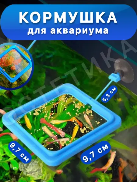 Кормушка для рыб на присоске в аквариум. квадратная син