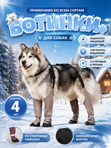 Зимняя обувь с ремешками подходящая для всех пород