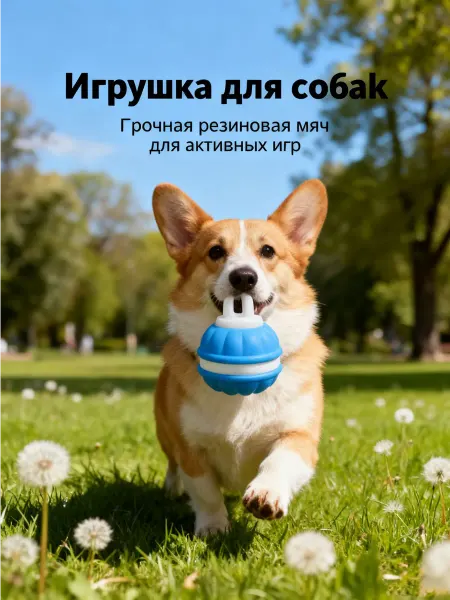 Интерактивная игрушка для собак мячик