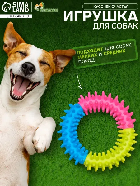 Пижон Игрушка для собак кольцо с шипами