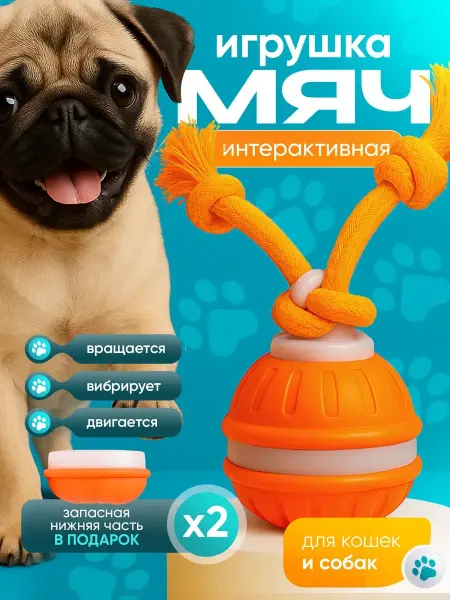 ЛапаШоп Игрушки для кошек и собак мелких пород интерактивный мячик