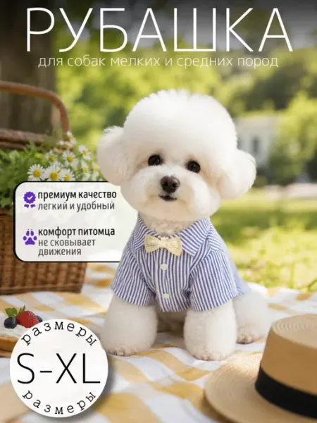 Рубашка для собак мелких пород