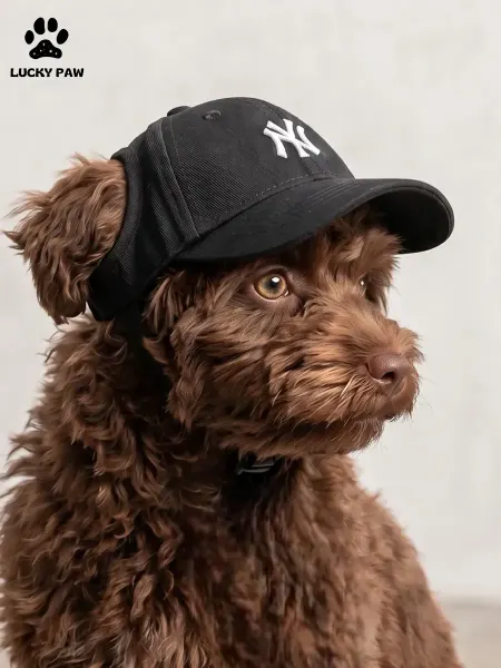 Кепка для собак NY (MLB)