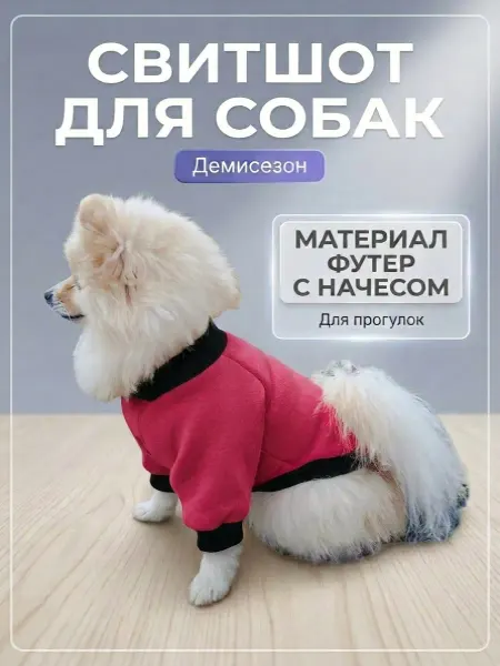 Свитшот для животных
