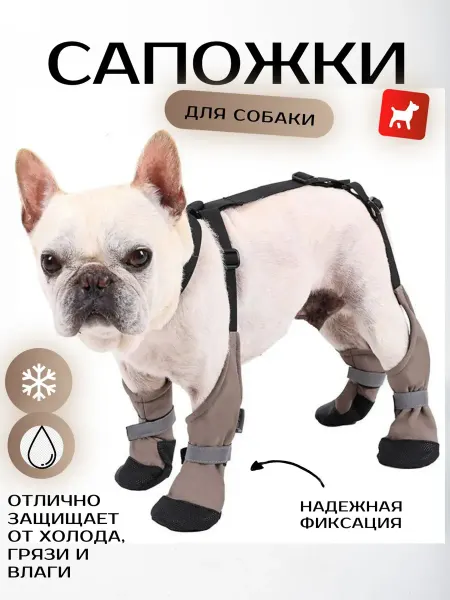 Сапожки для собак на подтяжках