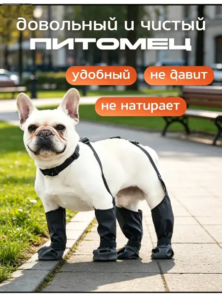Обувь для собак черный цвет