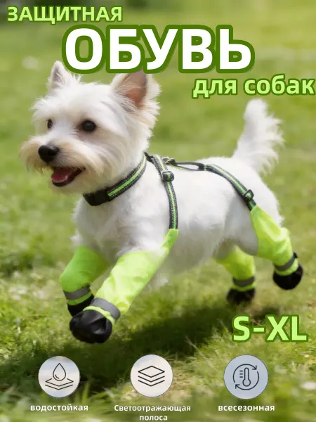 Ботинки Для Собак На Подтяжках