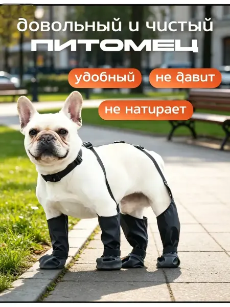 Обувь для собак черный цвет