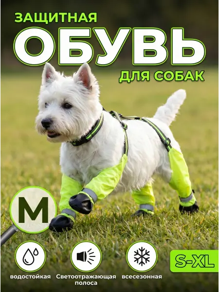 Ботинки Для Собак На Подтяжках