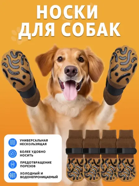 Носки для собак