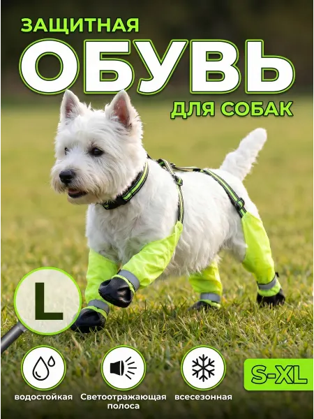 Ботинки Для Собак На Подтяжках