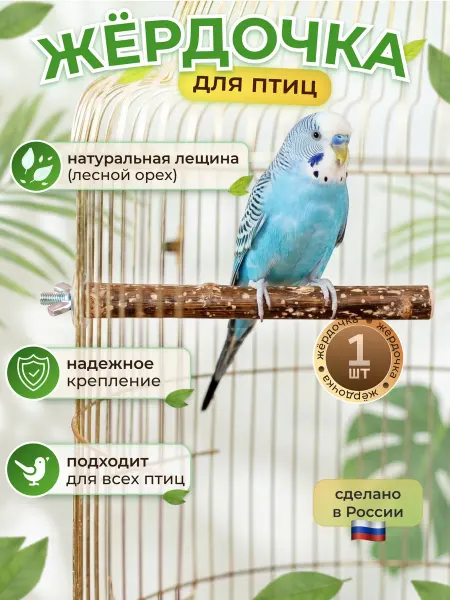 НЮМС Жёрдочка из ореха