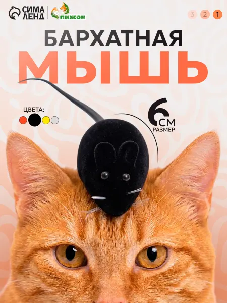 Пижон Игрушка для животных