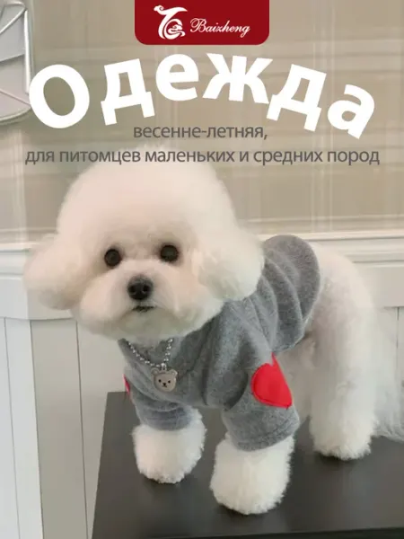 Одежда для собак