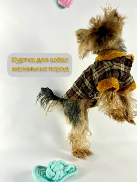 Куртка для собак