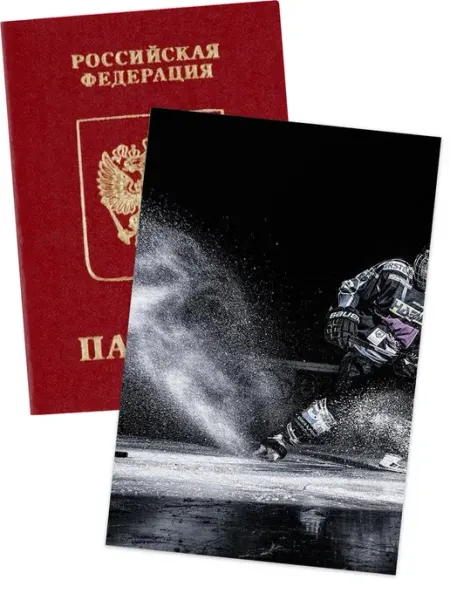 Banshee Чехол для паспорта с рисунком Обложка для паспорта хоккей