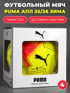 Футбольный мяч профессиональный Premier League