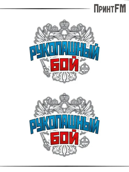 ПринтFM 2-е (Две) Термонаклейки герб россии рукопашный бой спорт