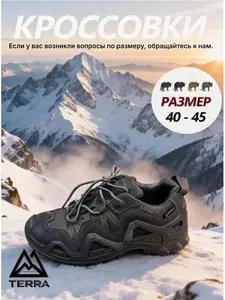 Кроссовки TERRA Обувь 3