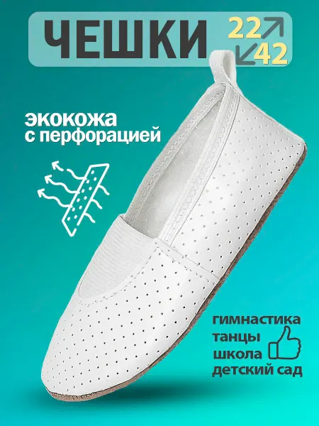 Бегура Чешки