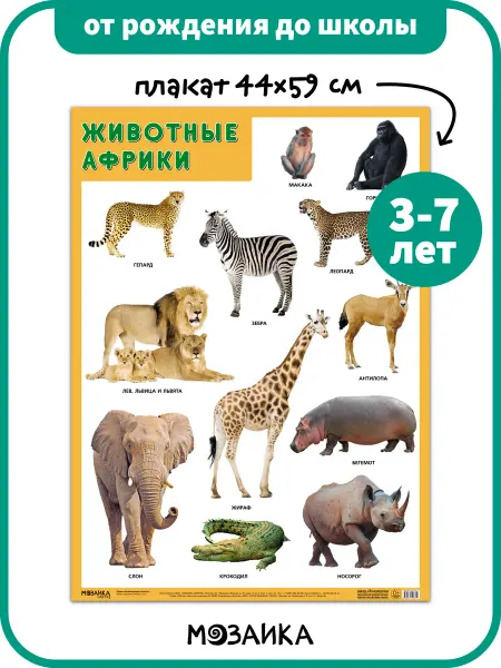ОТ РОЖДЕНИЯ ДО ШКОЛЫ Развивающий плакат на стену для детей, животные Африки 3+