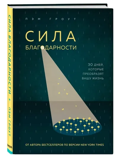 Сила благодарности. 30 дней, которые преобразят вашу жизнь