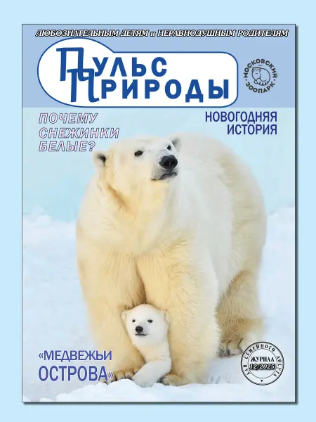 ИП Бахметьева И.А. Журнал "Пульс природы" №12 2025