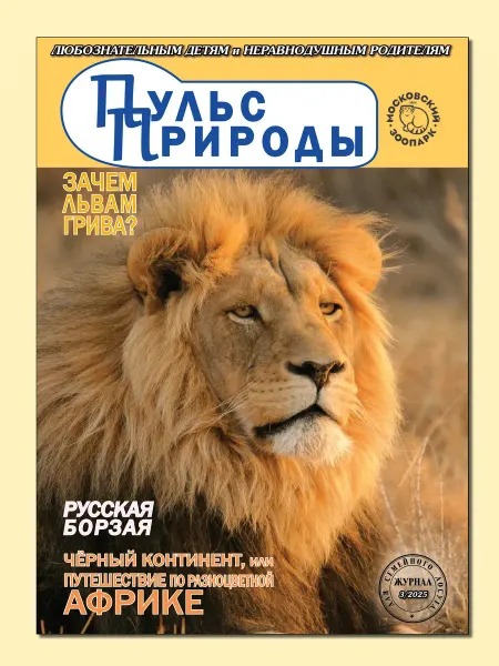 ИП Бахметьева И.А. Журнал "Пульс природы" №3 2025