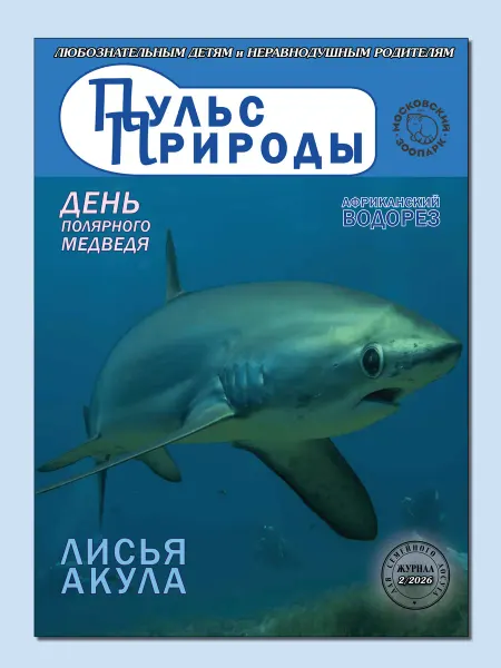 ИП Бахметьева И.А. Журнал "Пульс природы" №2 2026