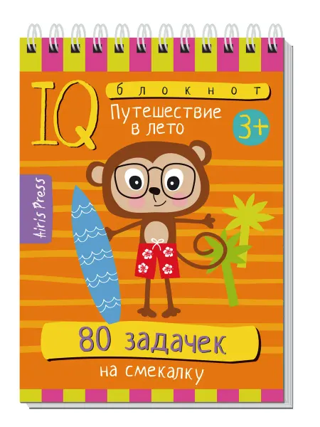 АЙРИС-пресс Умный блокнот 80 задачек на смекалку. Путешествие в лето 3+