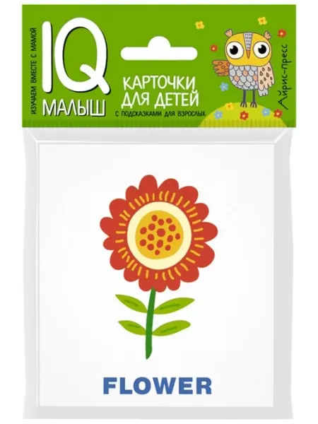 АЙРИС-пресс Умный малыш. ENGLISH. Растения. Набор карточек для детей