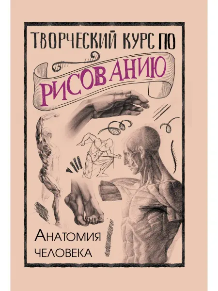 Издательство АСТ Творческий курс по рисованию. Анатомия человека. Грей М