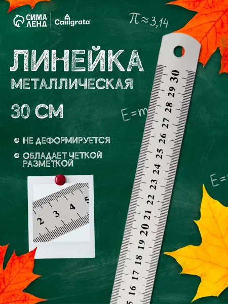 Calligrata Линейка школьная металлическая 30 см