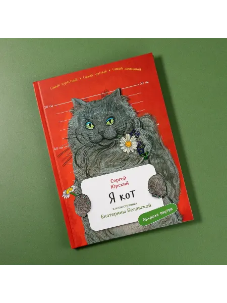 Я кот Книги о животных Детская раскраска