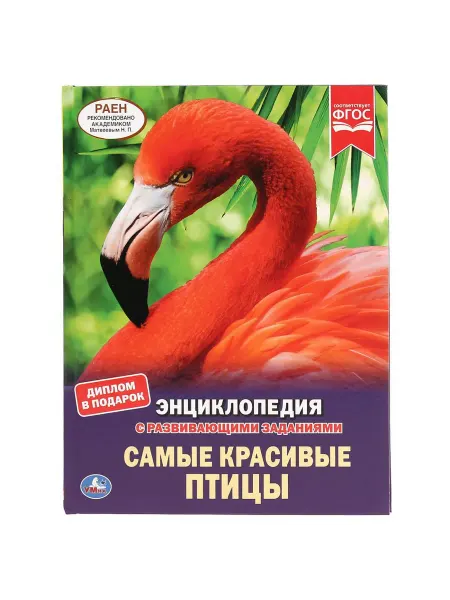 Умка книги Энциклопедия с развивающими заданиями Самые красивые птицы