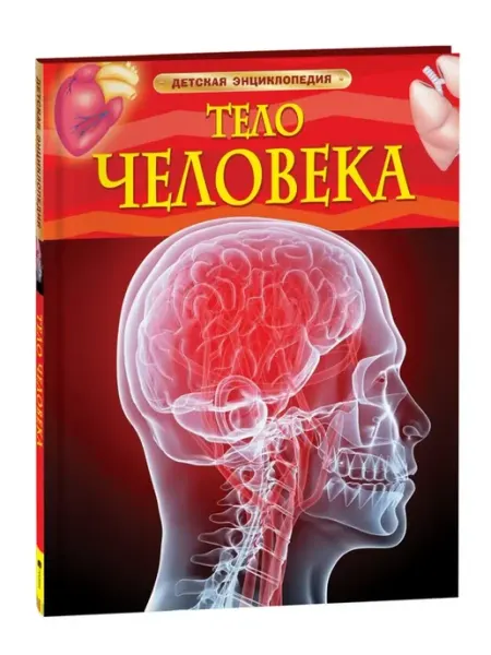 РОСМЭН Тело человека. Детская энциклопедия
