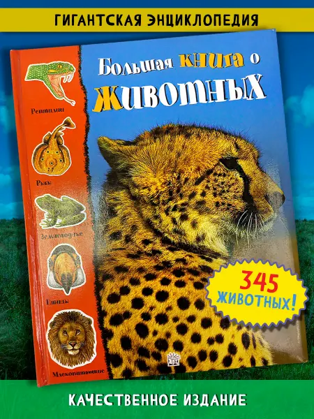 Большая книга о животных