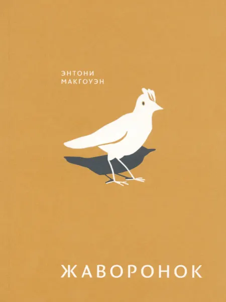 Книжный двор Жаворонок